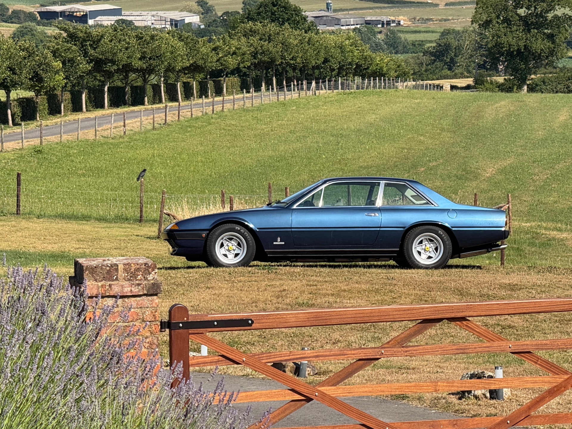 1980 FERRARI 400